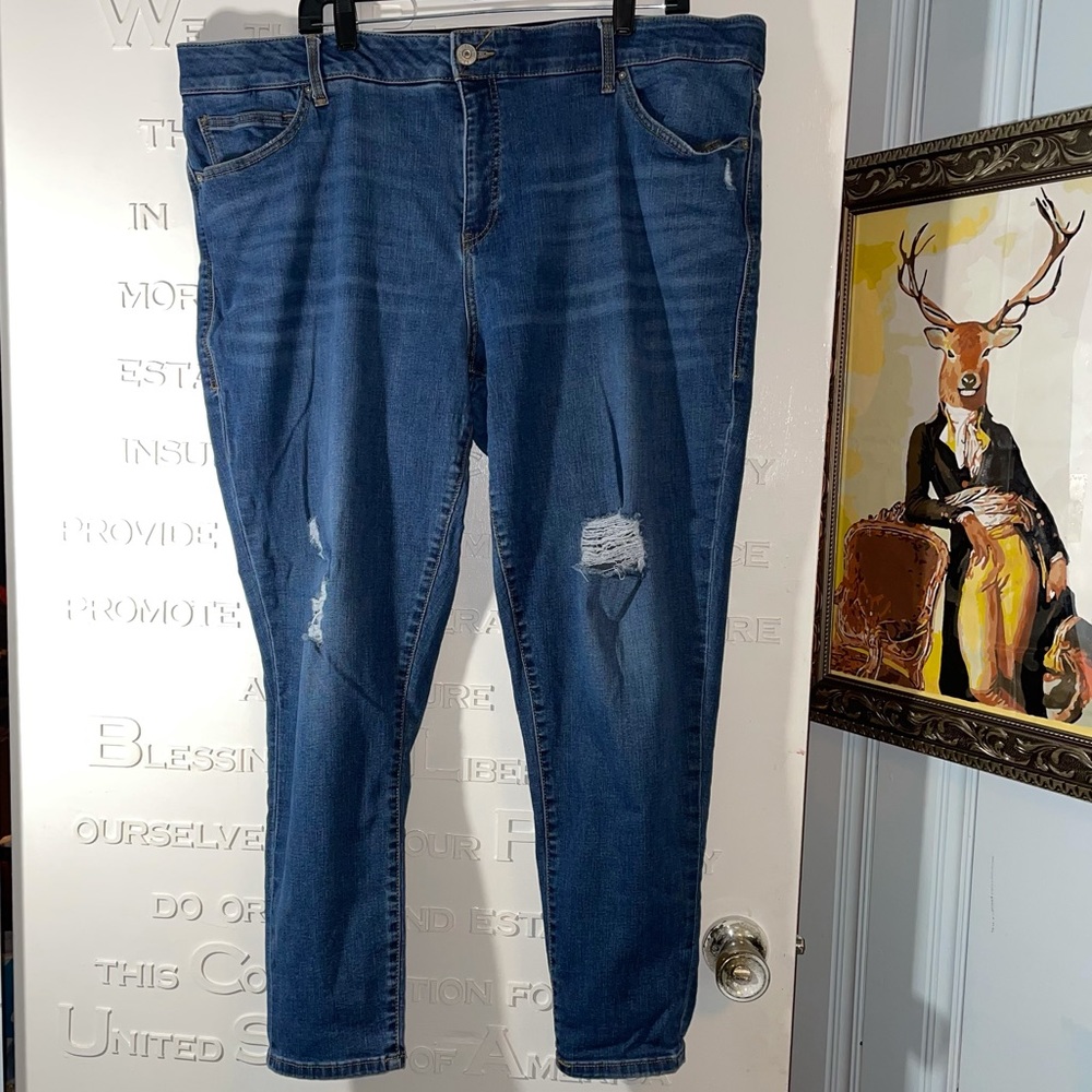 Lularoe Denim Size 42 / Medium Wash Distressed